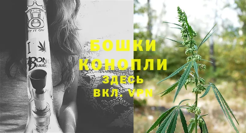 Каннабис SATIVA & INDICA  что такое наркотик  Сасово 